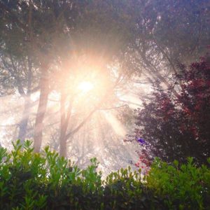 Eventi Pisa Aprile 2016